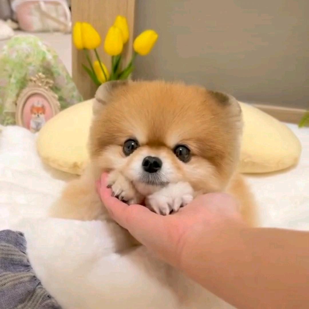 YONG