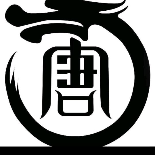 大唐仿石漆