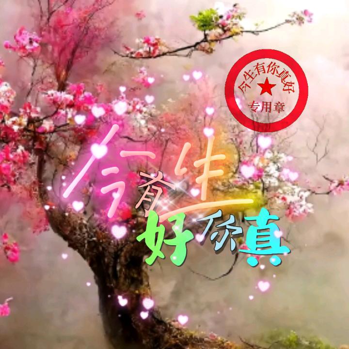 今生有你真好
