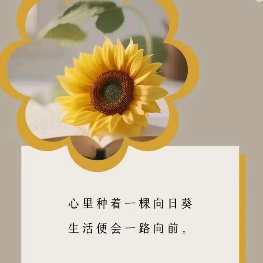 ꧁꧁香香🎀卓玛꧂꧂