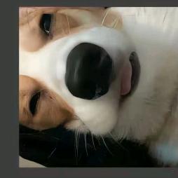 *