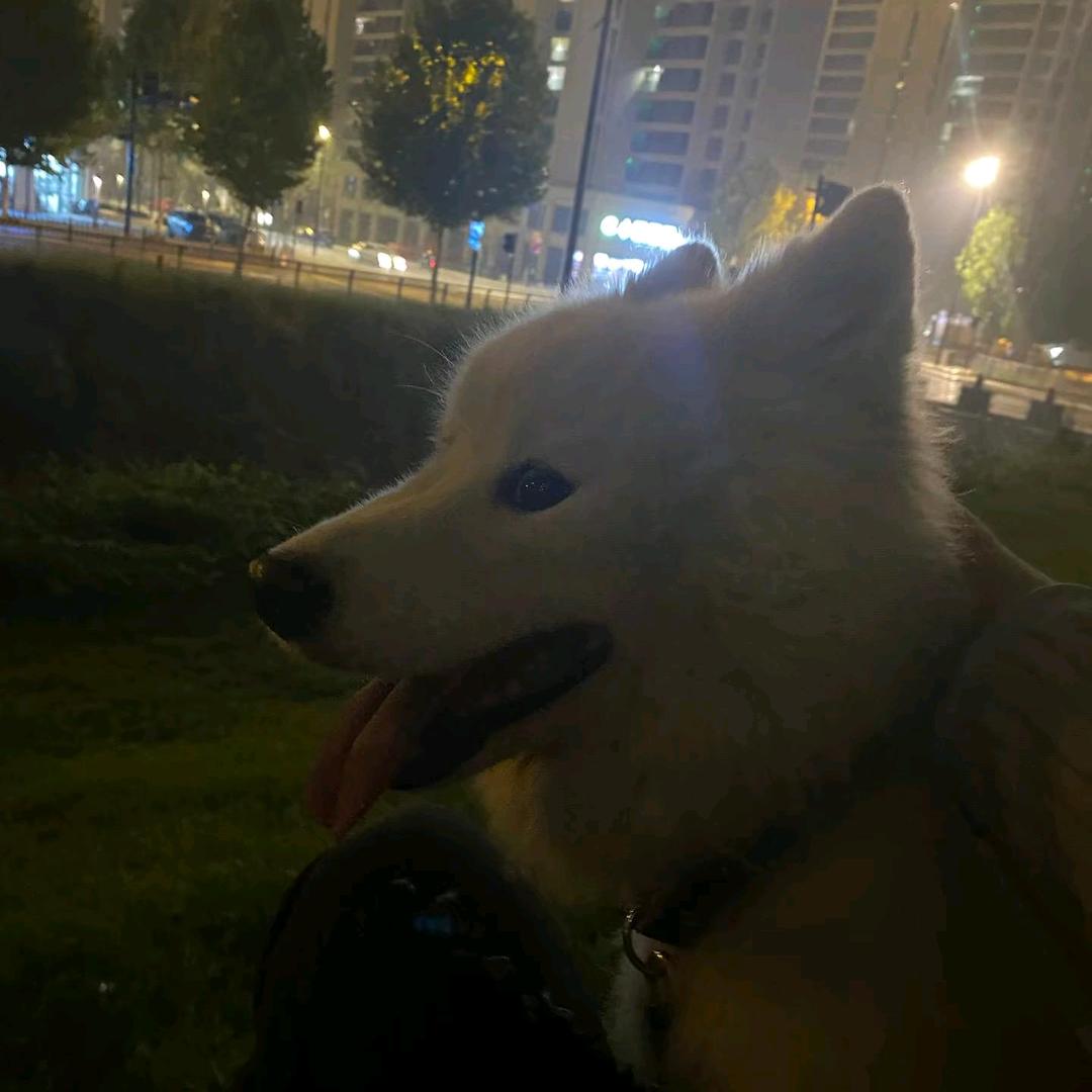 扎西长喜