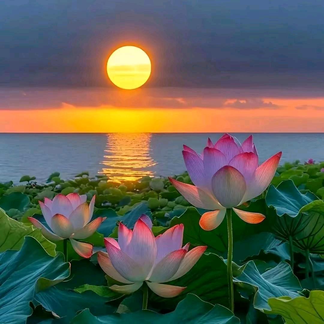 浅笑不语