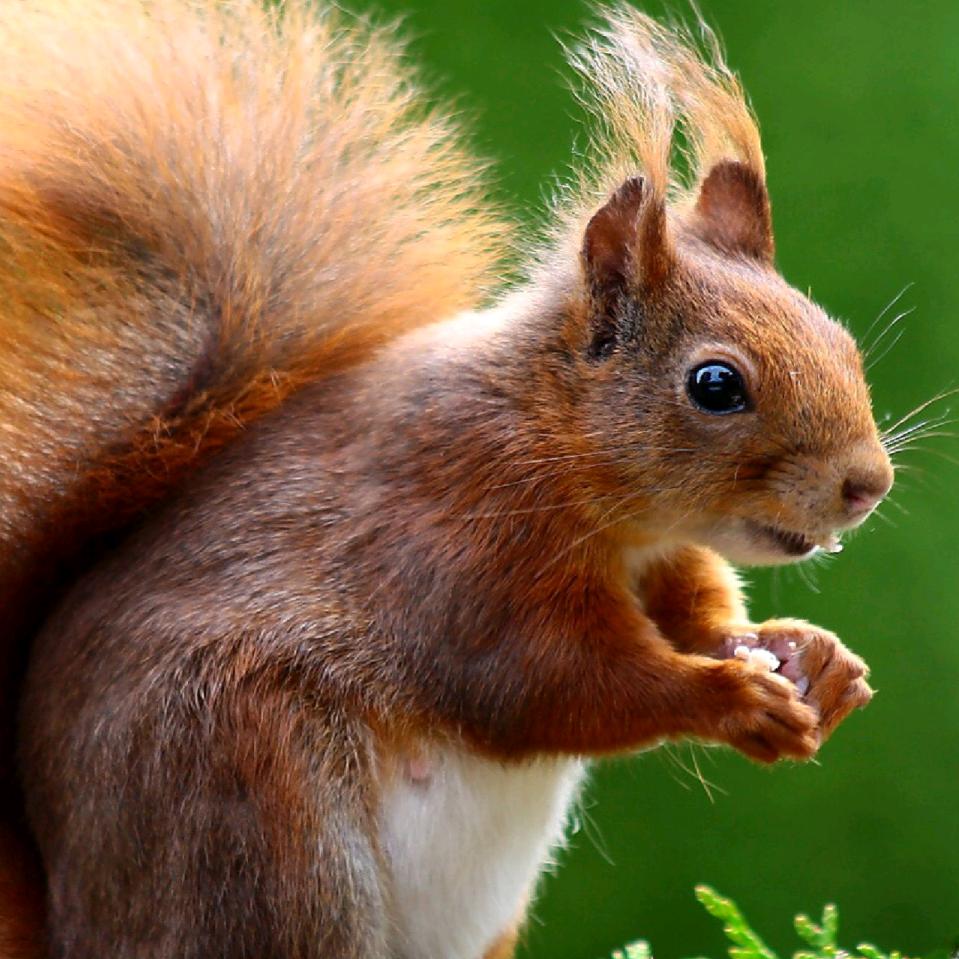 背着书包炸学堂