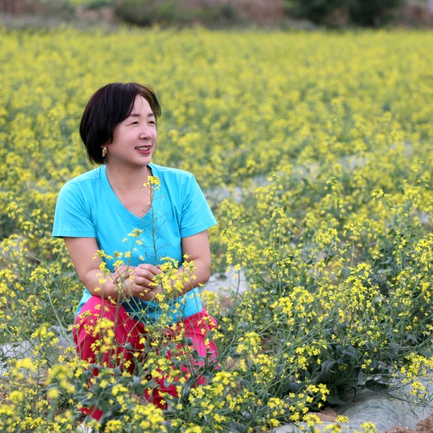 春风拂面（体验而已）