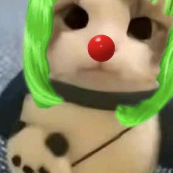 (￣.￣)