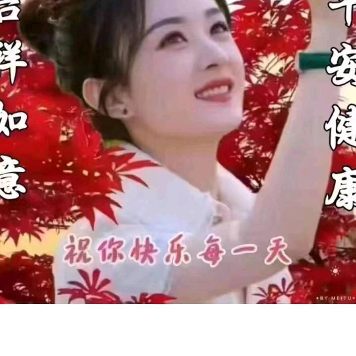 琳树宝
