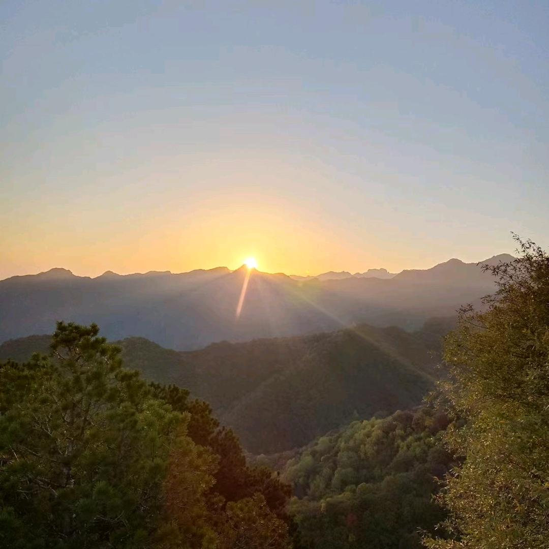 鱼老板