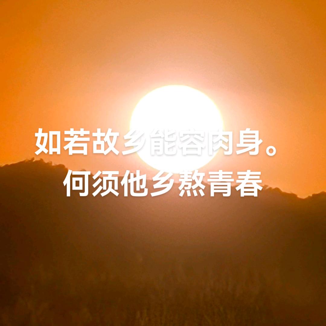 暗香浮动月黄昏