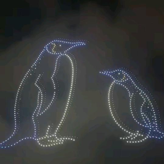 风哥