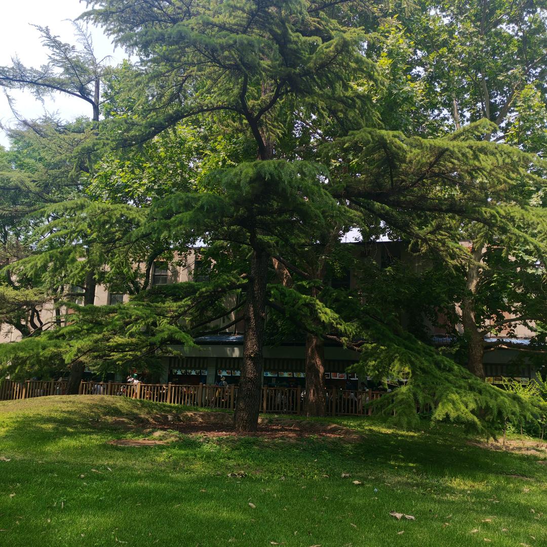 叶子💞(带娃中)