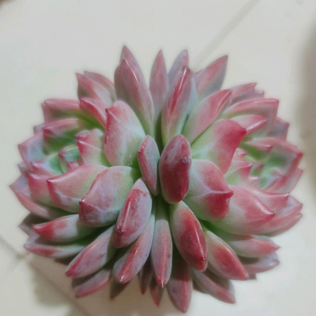 小雨～