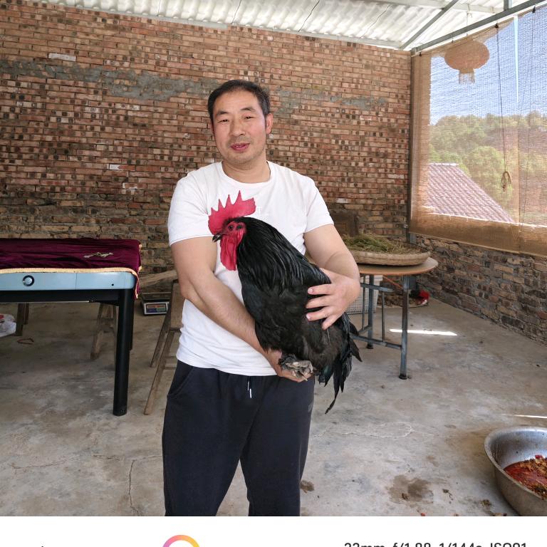 养鸡种菜大哥