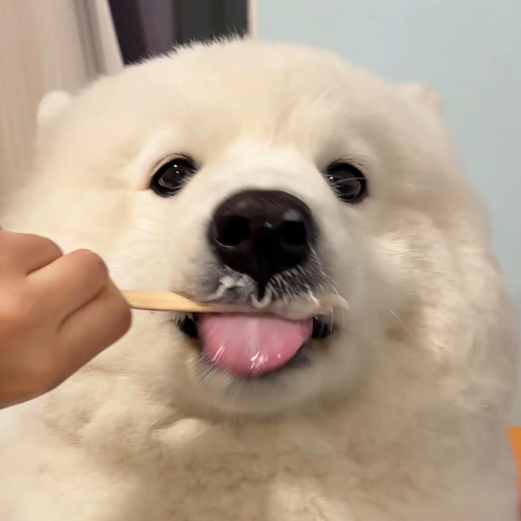 反诈宣传大使
