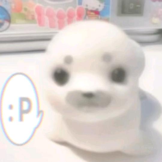 好像是蓝桉