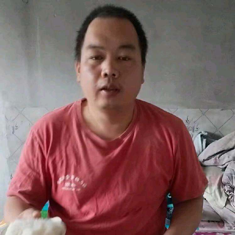 东北老六的日常