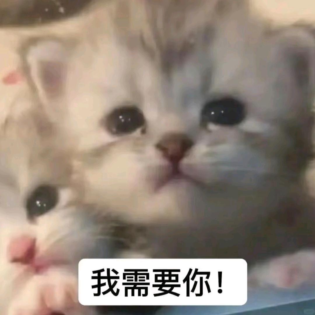 午夜伤感小学生