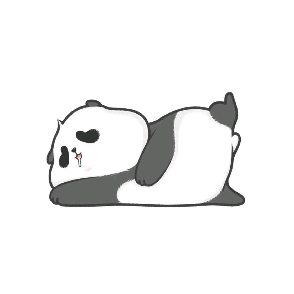 🐻🐻🐻
