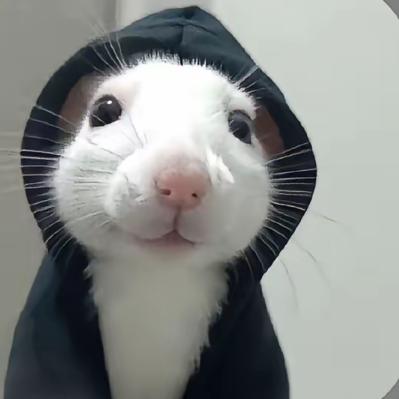 楚稼君