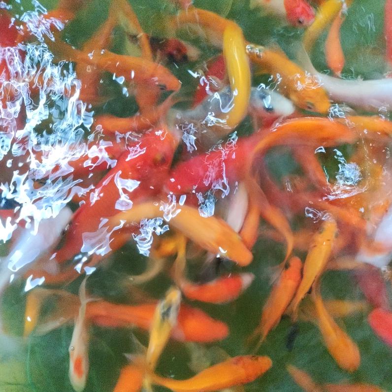 扎扎解压