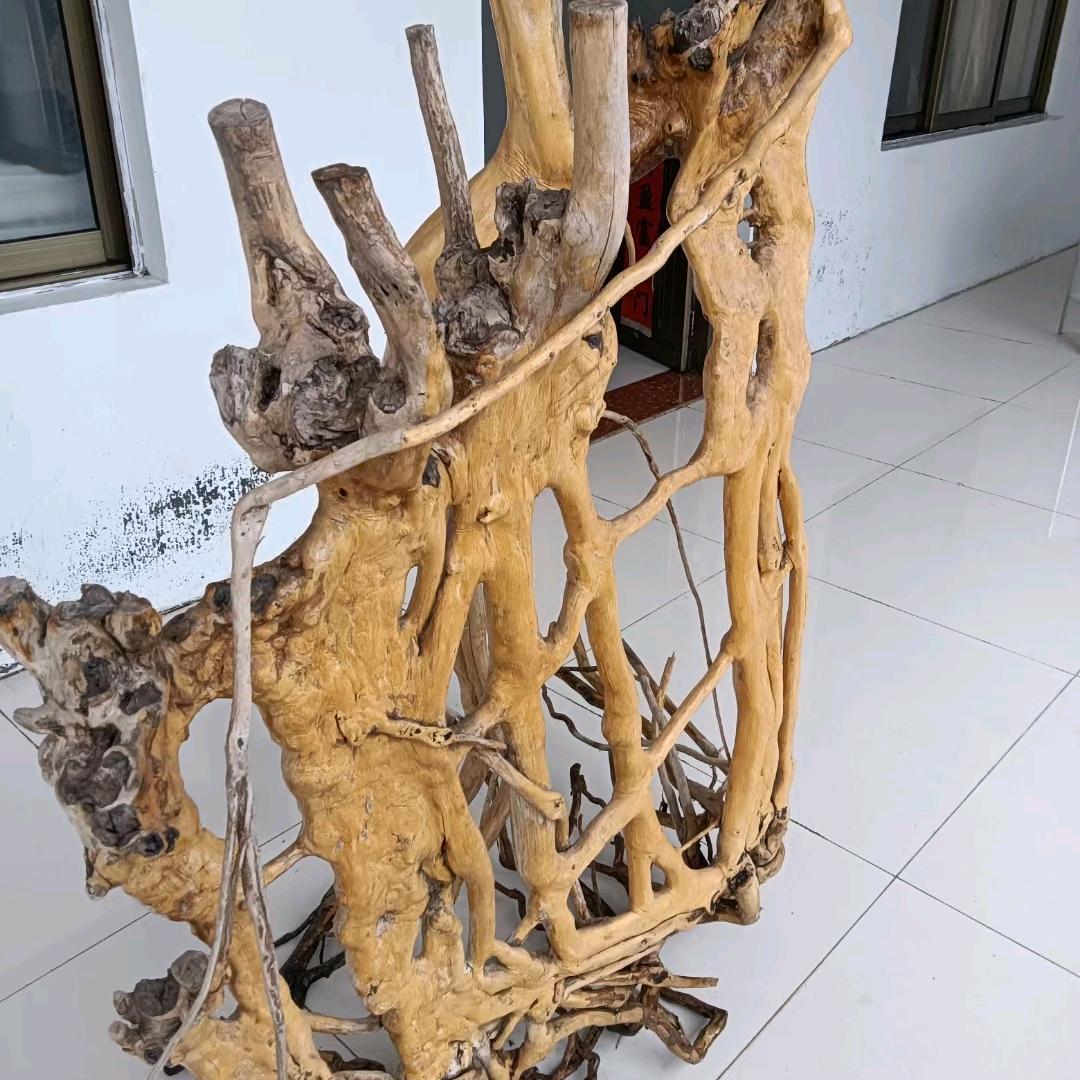 港哥