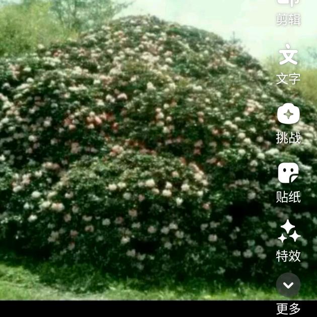 周溪民间饭店