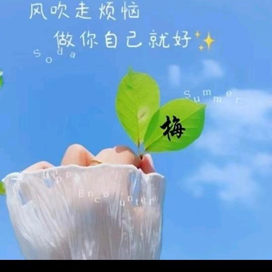 梅姐