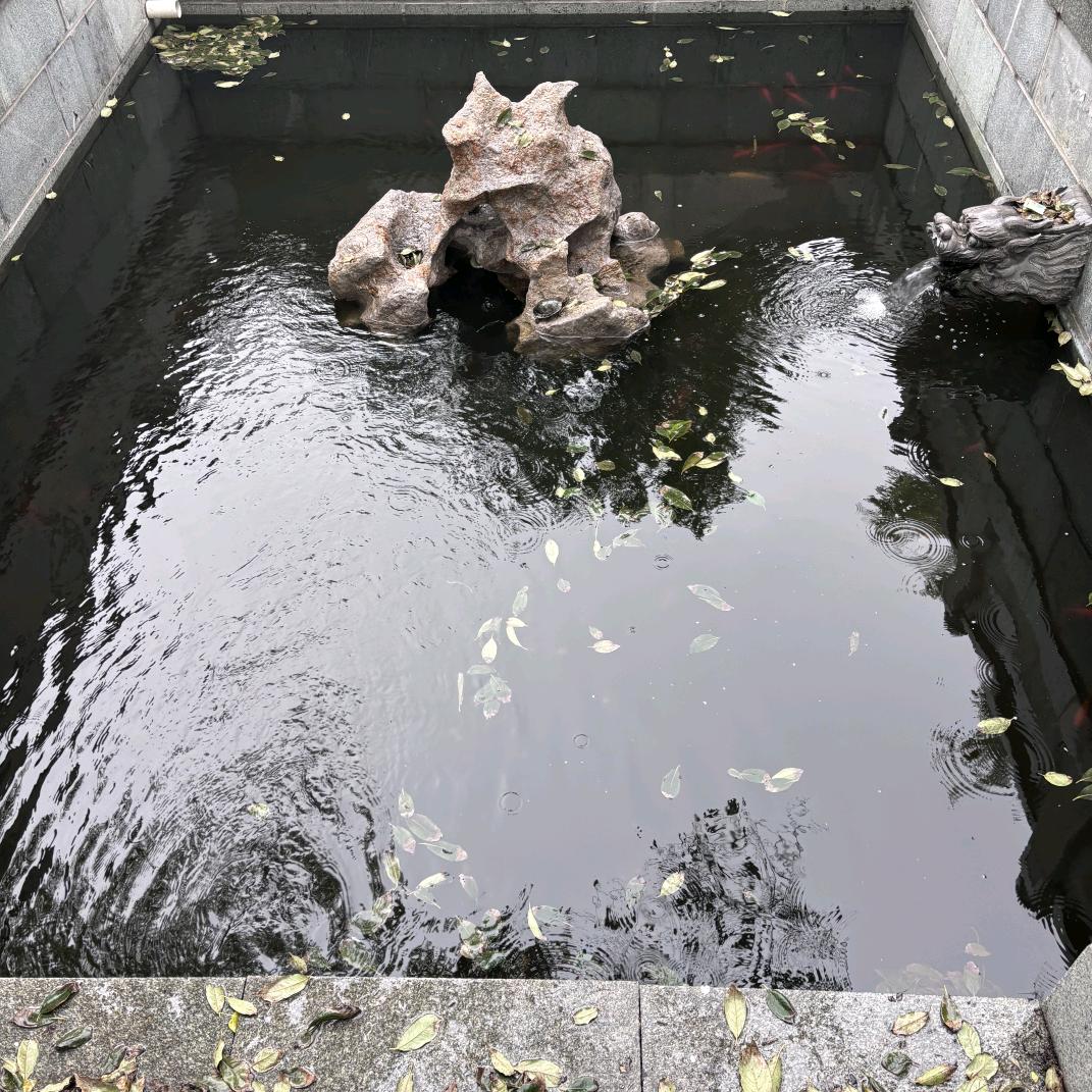 May 🏊（什么都不懂，世界和平）