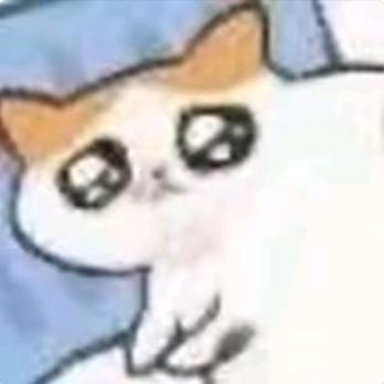 林辞