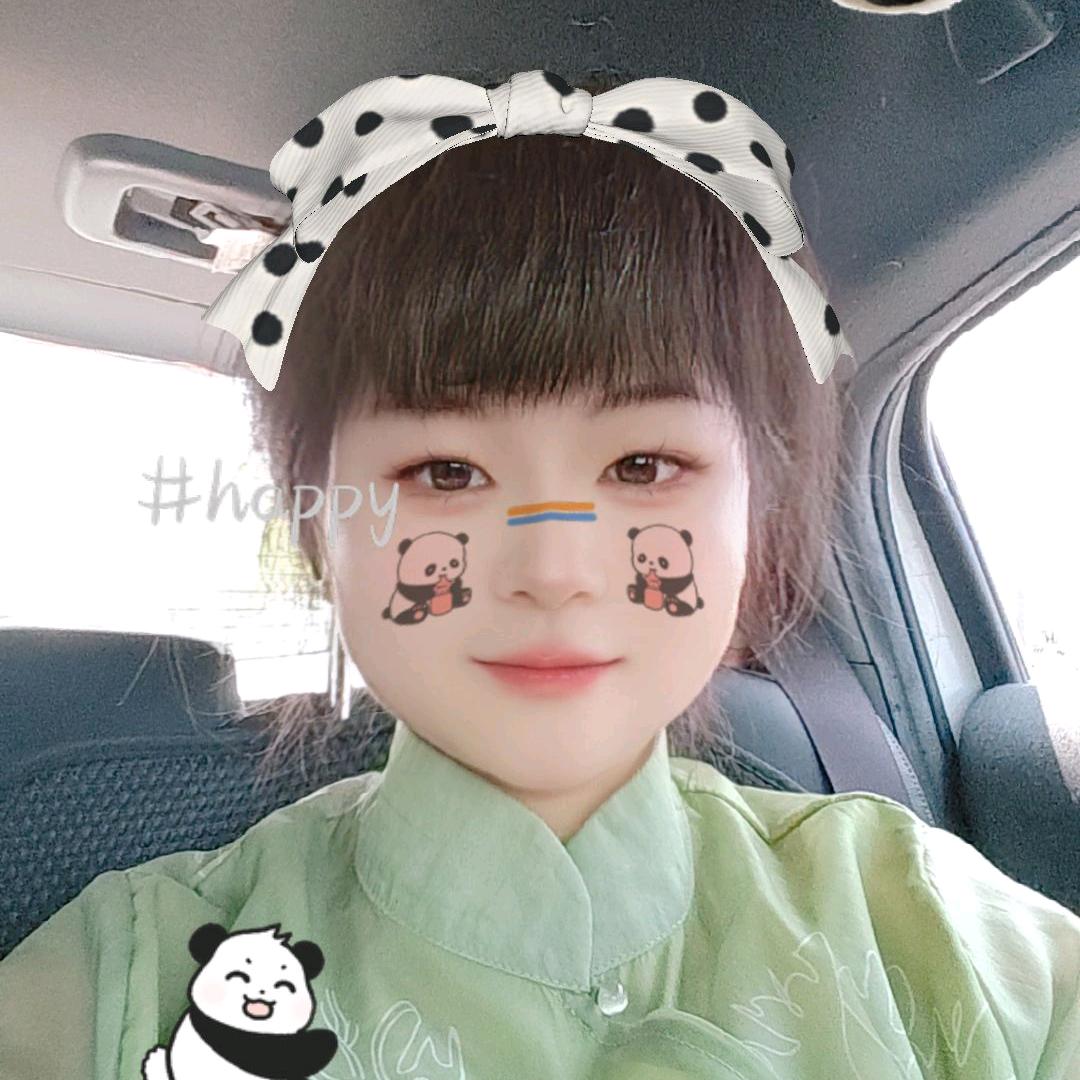 奔腾的小野马