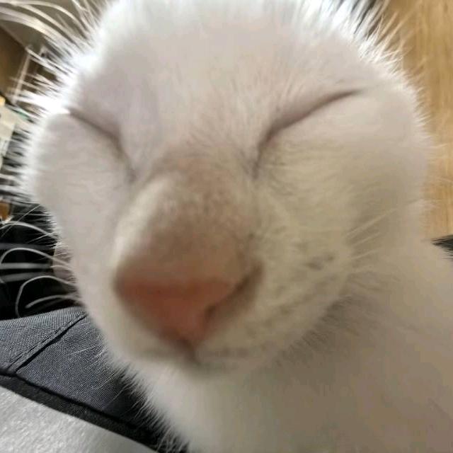 哈鲫米