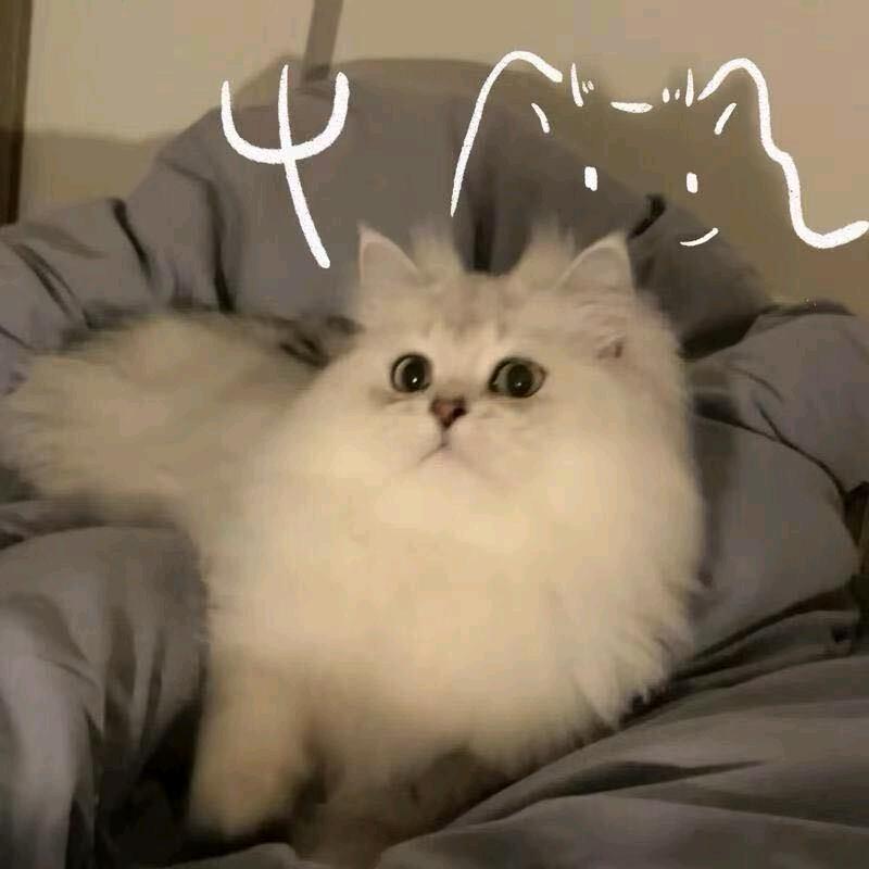 小气鬼