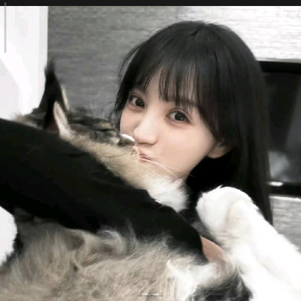 不能凶小猫.
