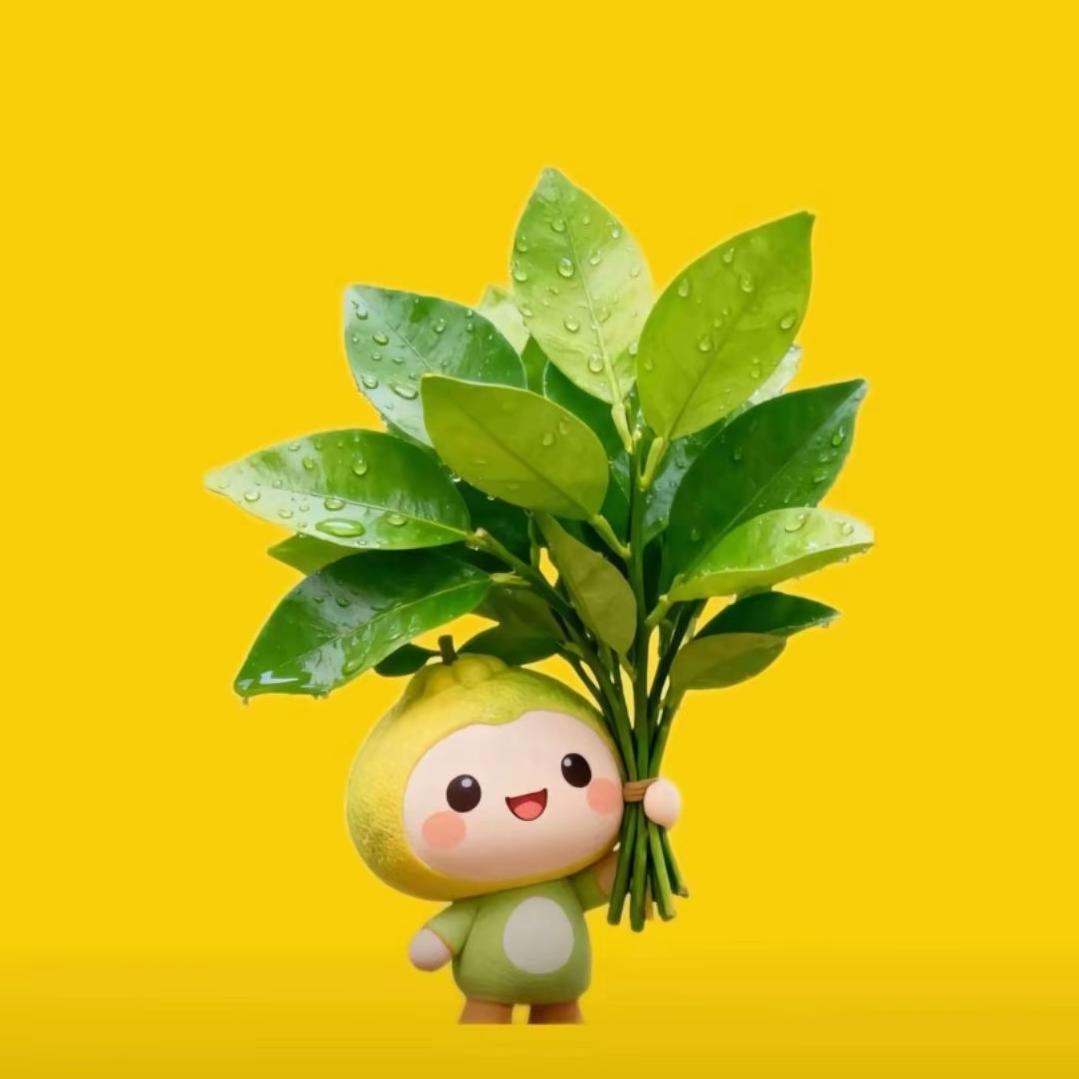 🌸დ᭄*꯭焦荳芽℘ℳ🌸ᥫᩣ
