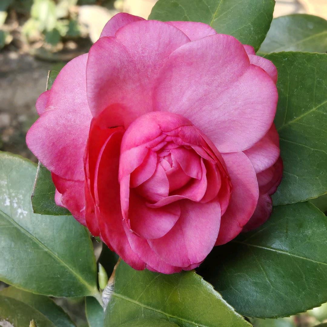 🌈🌈🌈自由空间