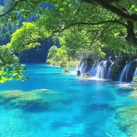 武汉厂房出租出售