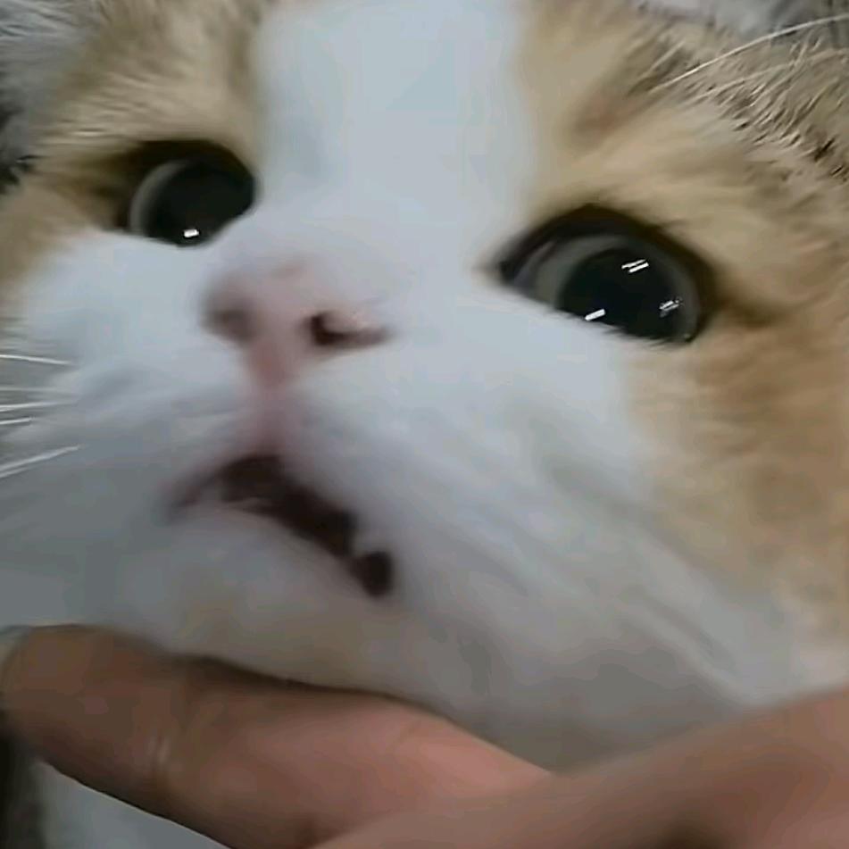 躺平00后