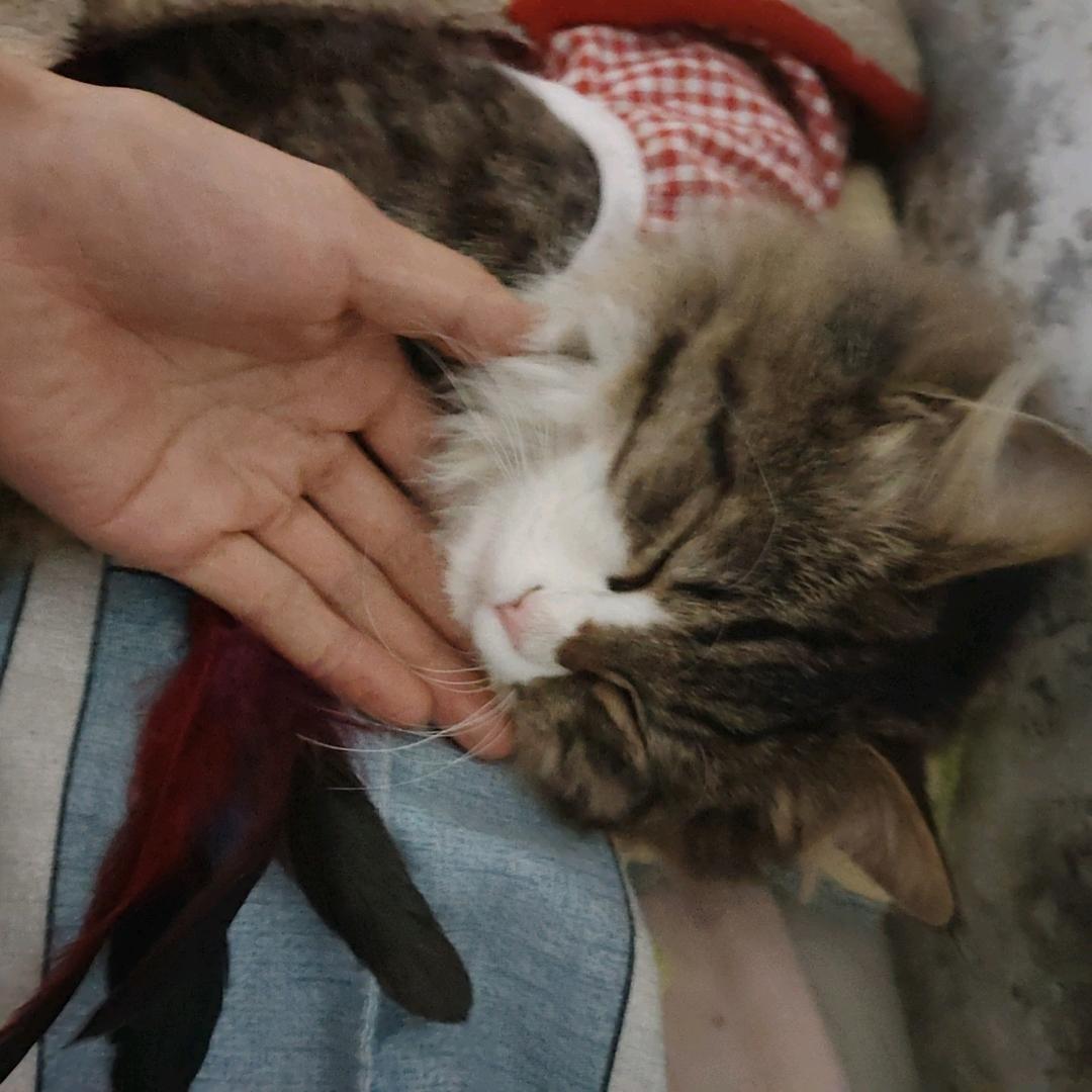 滨、