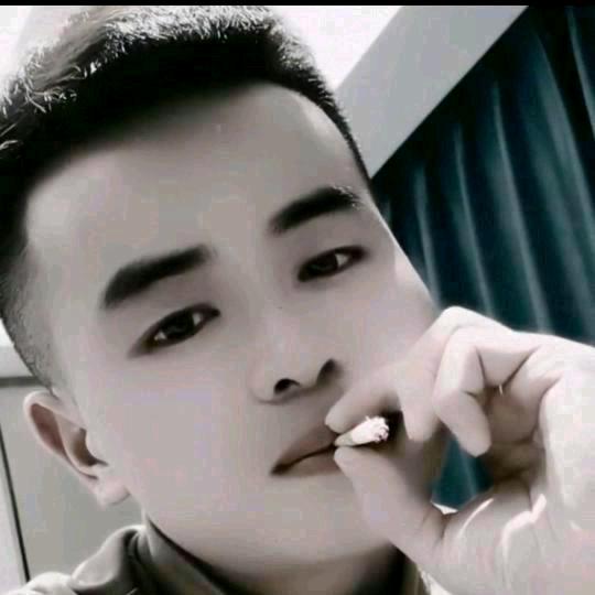 绵羊