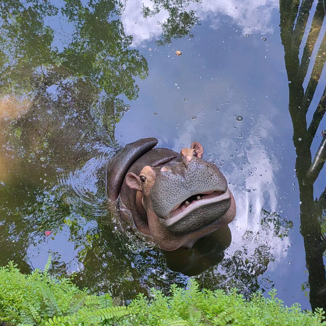 爱看悬疑推理的小福