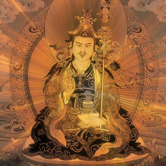 登真多吉🌼🌸