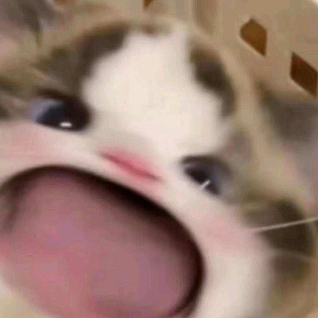 草莓熊^cs2