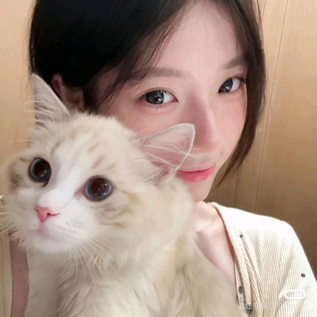 前方道路正在施工