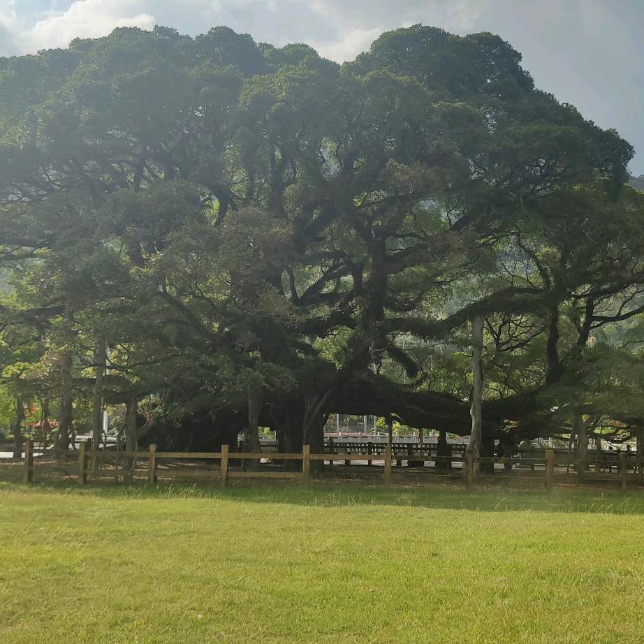 平康生物科技生活坊