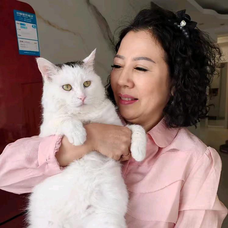 猫姥姥小号