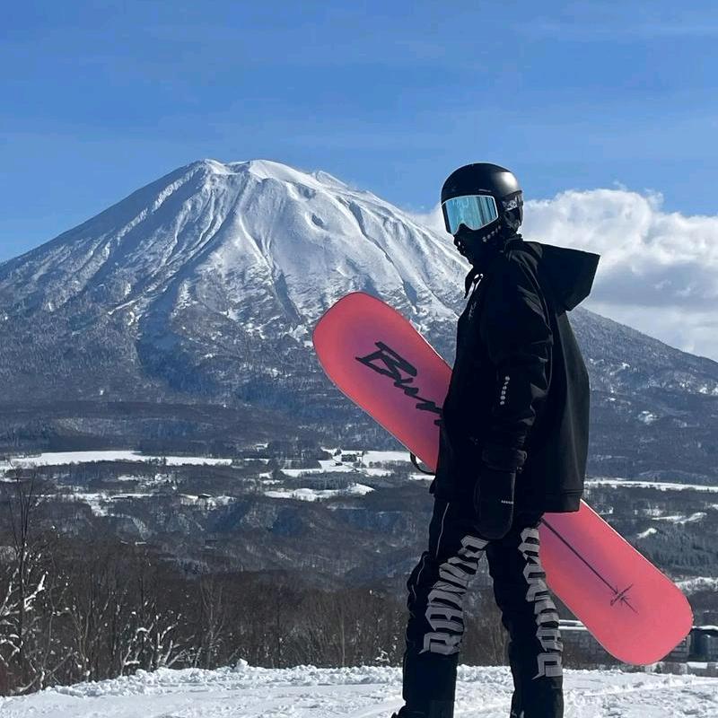 大李的生活日记