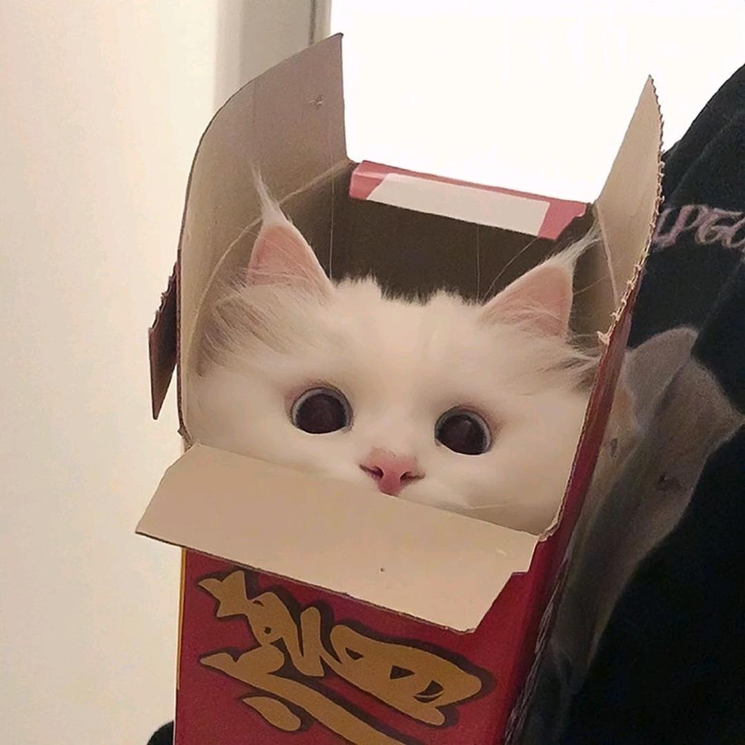 小橘子不吃梨