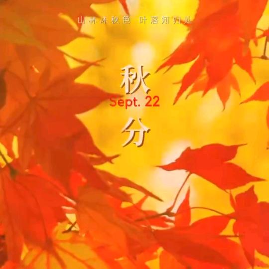 阿勇