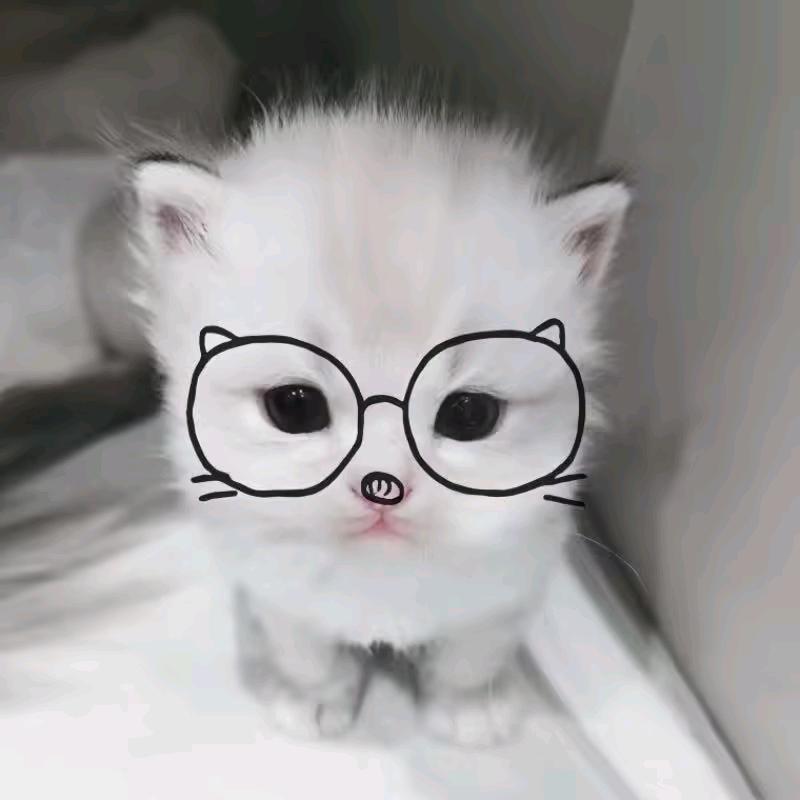 不是吧