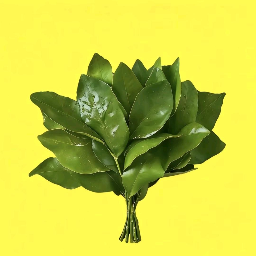 小小好物推荐
